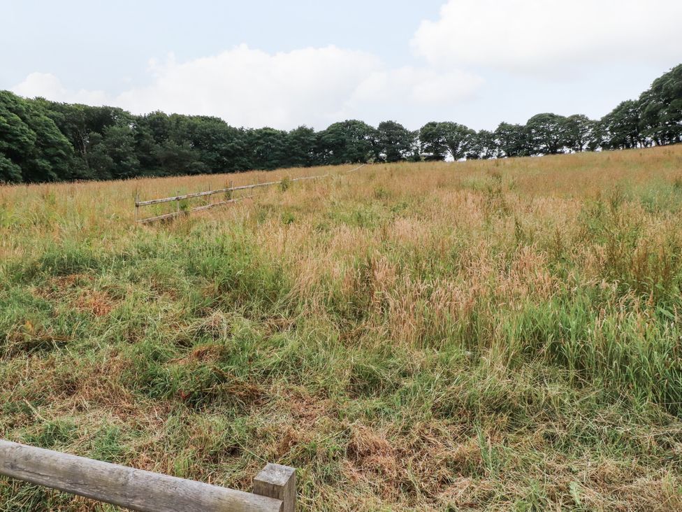 A field with grass and trees at The Barn at Bryn Eithin Colwyn Bay