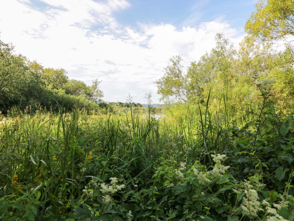 A view of grass and bushes near a body of water at Buchanan’s Bothy in Glencarse