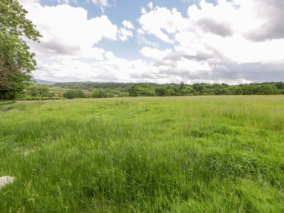 A field with grass and trees under a cloudy sky at The Little Shepherds Hut with a View Builth Wells