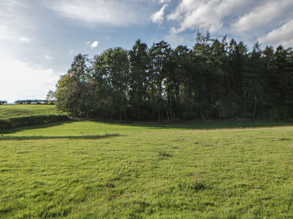 A grassy field with trees in the background at The Little Shepherds Hut with a View near Newbridge-On-Wye