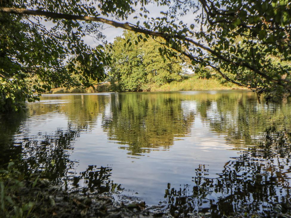 A river surrounded by trees at The Little Shepherds Hut with a View near Newbridge-On-Wye