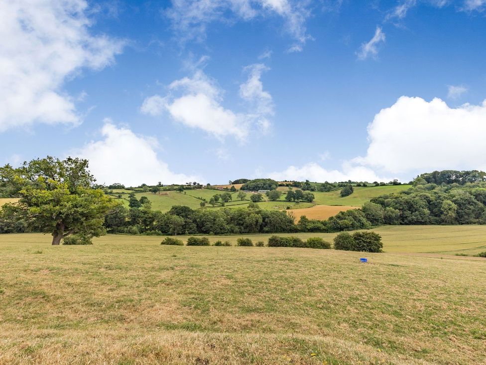 A landscape with hills and a tree at Wood Cottage in Tenbury Wells