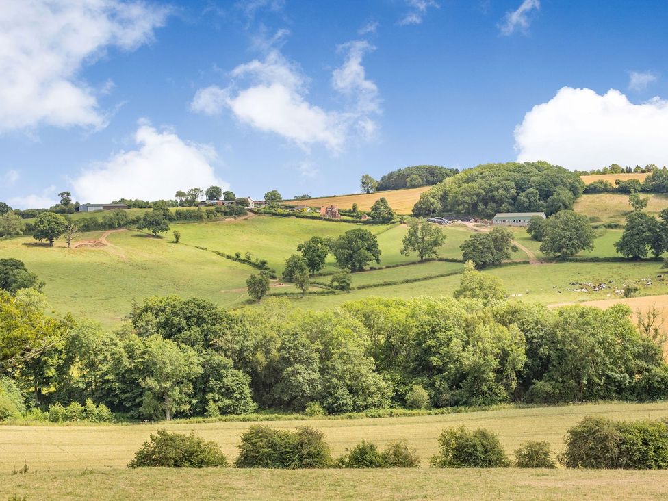 A landscape with fields and trees at Wood Cottage in Tenbury Wells