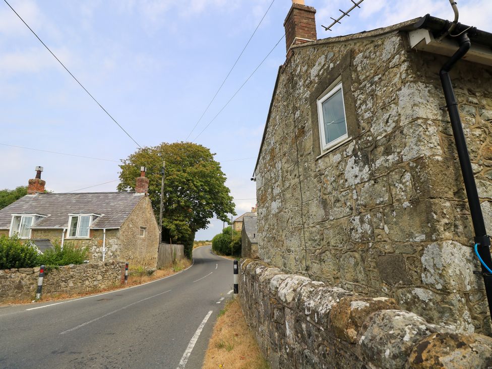 A street view with houses and a tree at Dairy Cottage in Whitwell near Niton