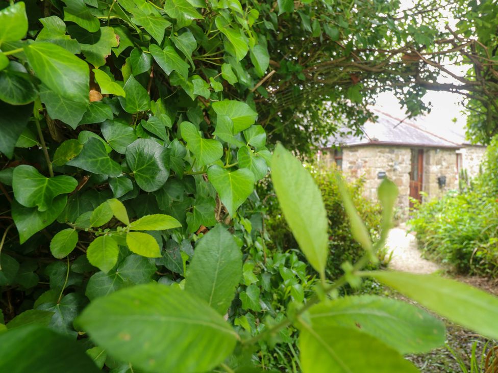 A view of greenery and a stone building at Swallow Cottage in Helston