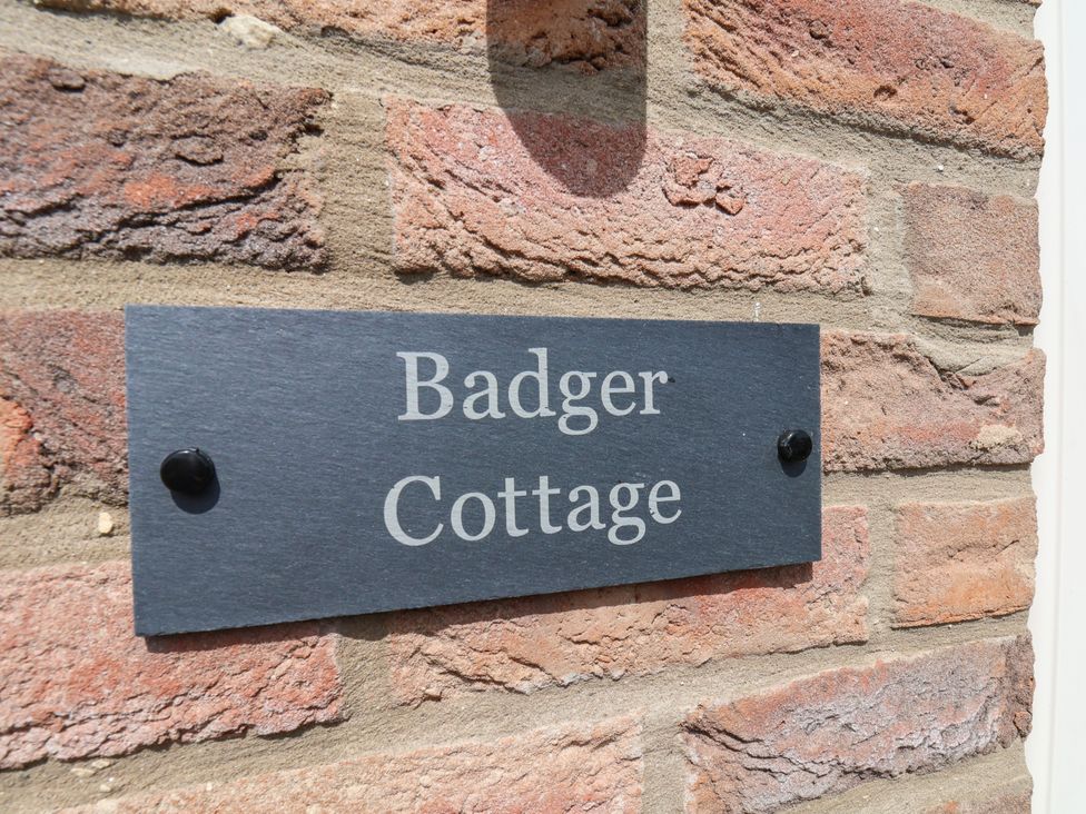 Badger Cottage - North Yorkshire (incl. Whitby) - 1205704 - thumbnail photo 28
