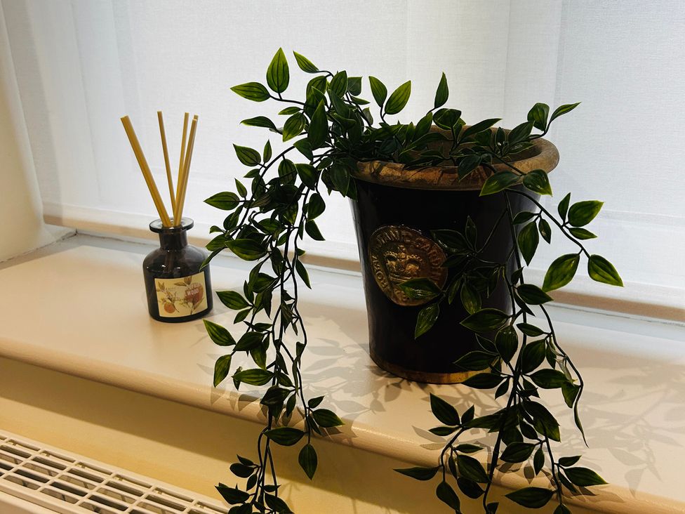 A plant in a pot and a reed diffuser on a windowsill at Badger Cottage in Wold Newton