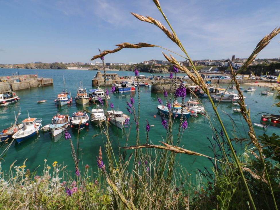 Boats in a harbor with flowers in the foreground at Studio Room No.2 Newquay