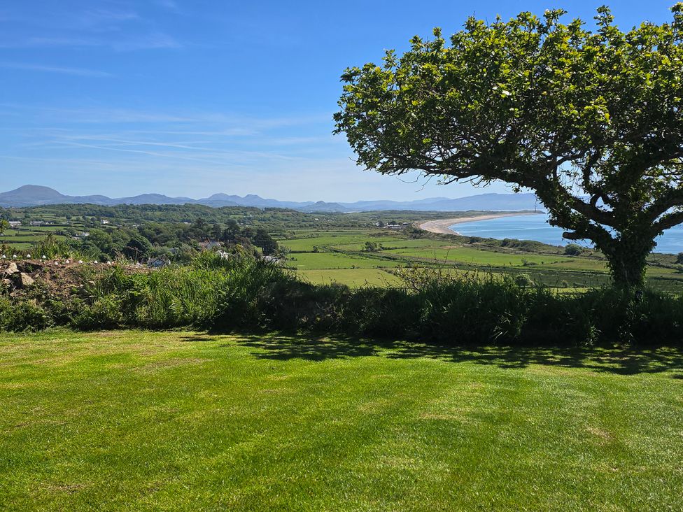 A view of a beach and hills with a tree in the foreground at Cwt Bugail in Pwllheli
