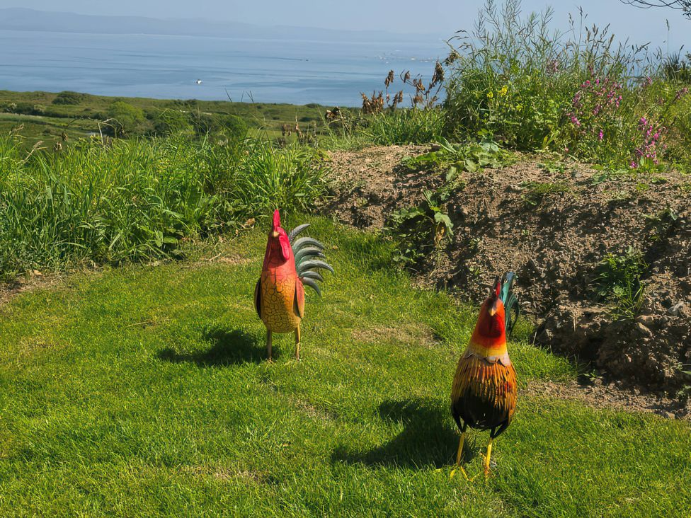 Two roosters on grass with an ocean view at Cwt Bugail Pwllheli