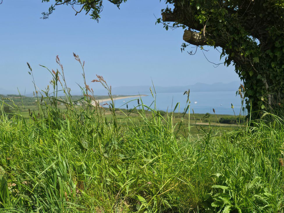 A view of grass and water with a tree at Cwt Bugail Pwllheli