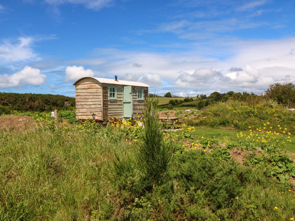 A wooden hut surrounded by grass and flowers at Cwt Bugail in Pwllheli