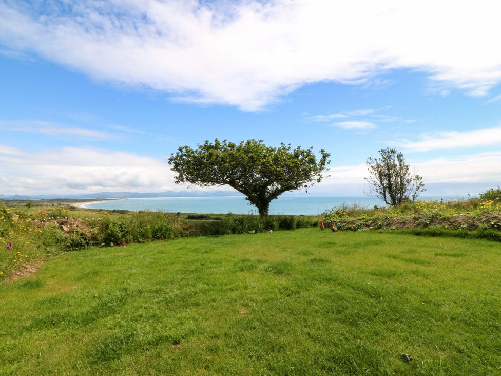 A view of a tree overlooking the sea at Cwt Bugail Pwllheli
