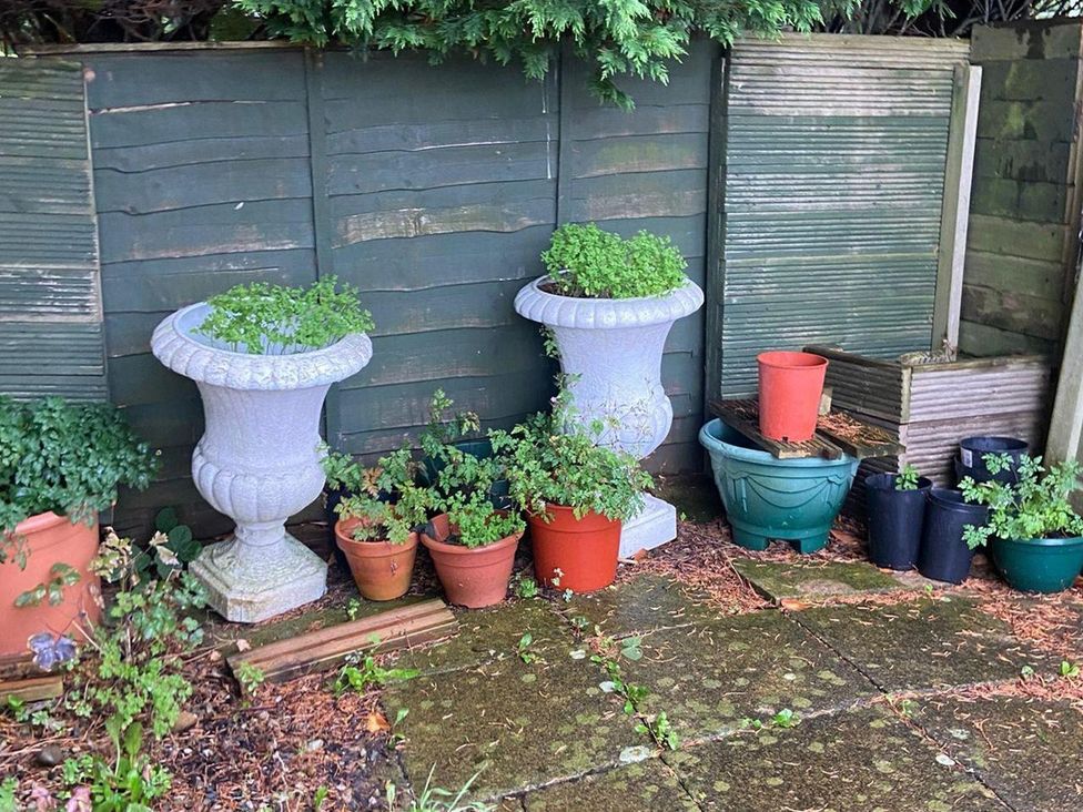 A garden area with plant pots and ornamental urns against a wooden fence