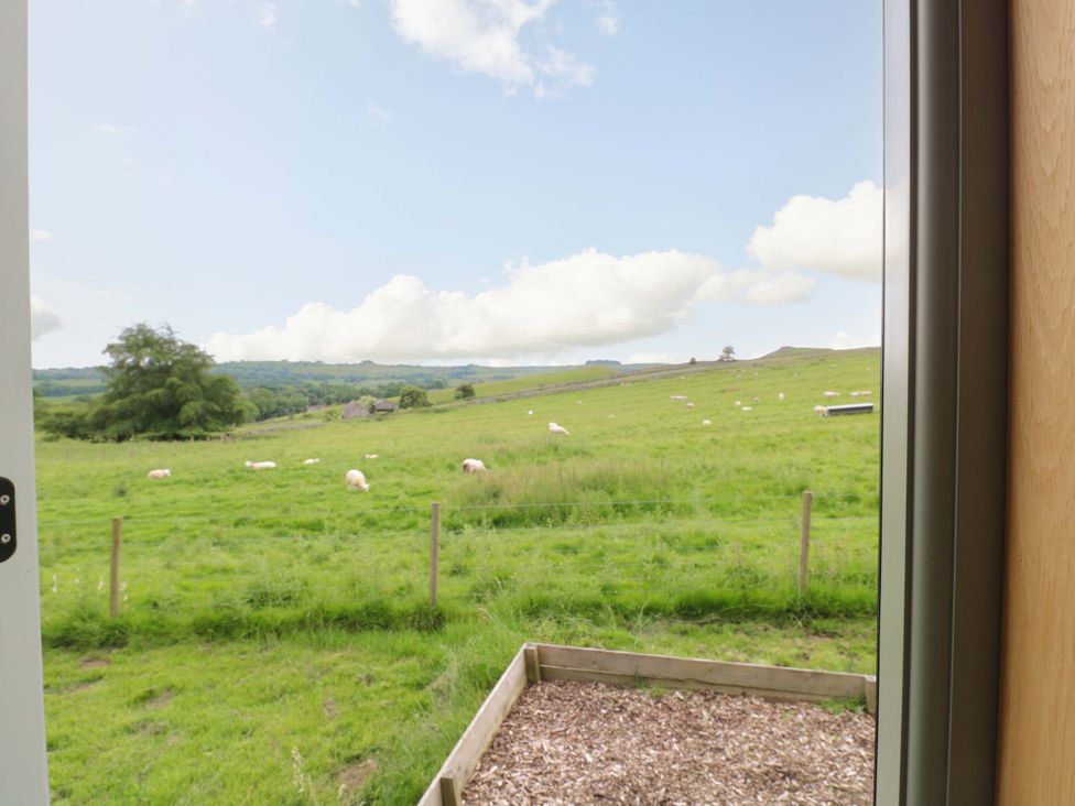 A view of a field with sheep at Pike House Farm Shepherds Hut 1 Asbourne