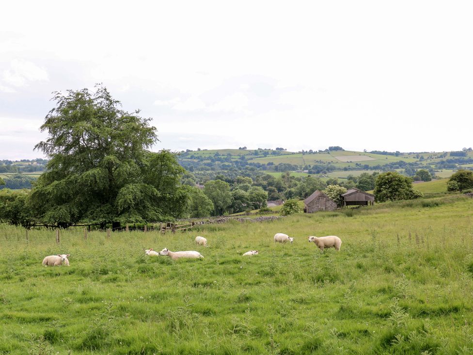 A field with sheep and buildings at Pike House Farm Shepherds Hut 1 in Asbourne