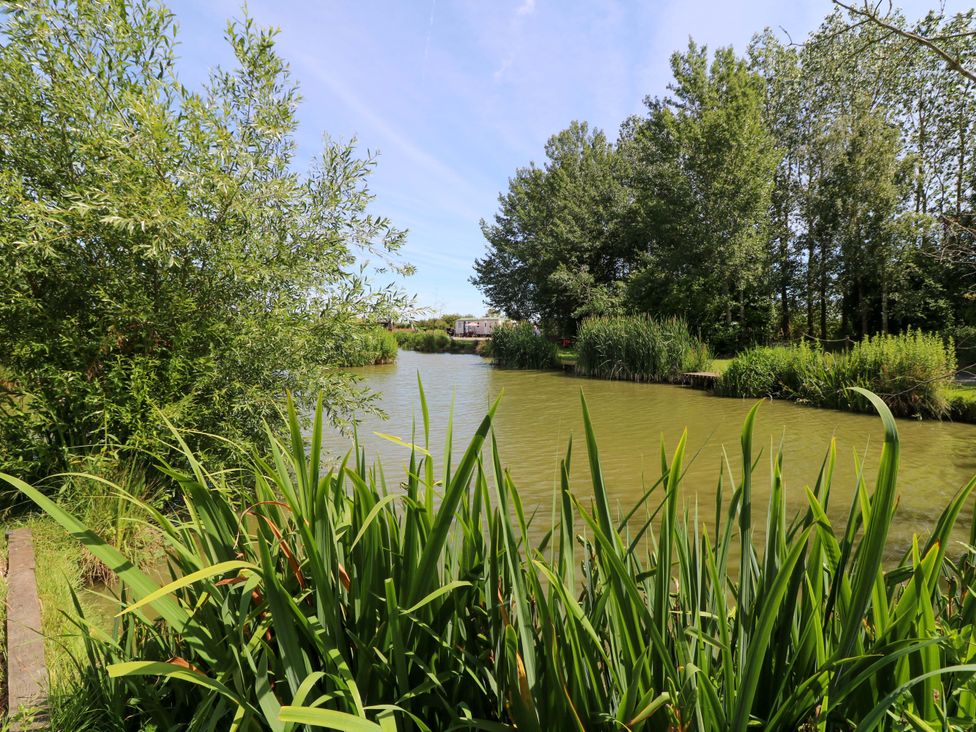 A view of water surrounded by greenery at Moorhen Lodge in Market Rasen