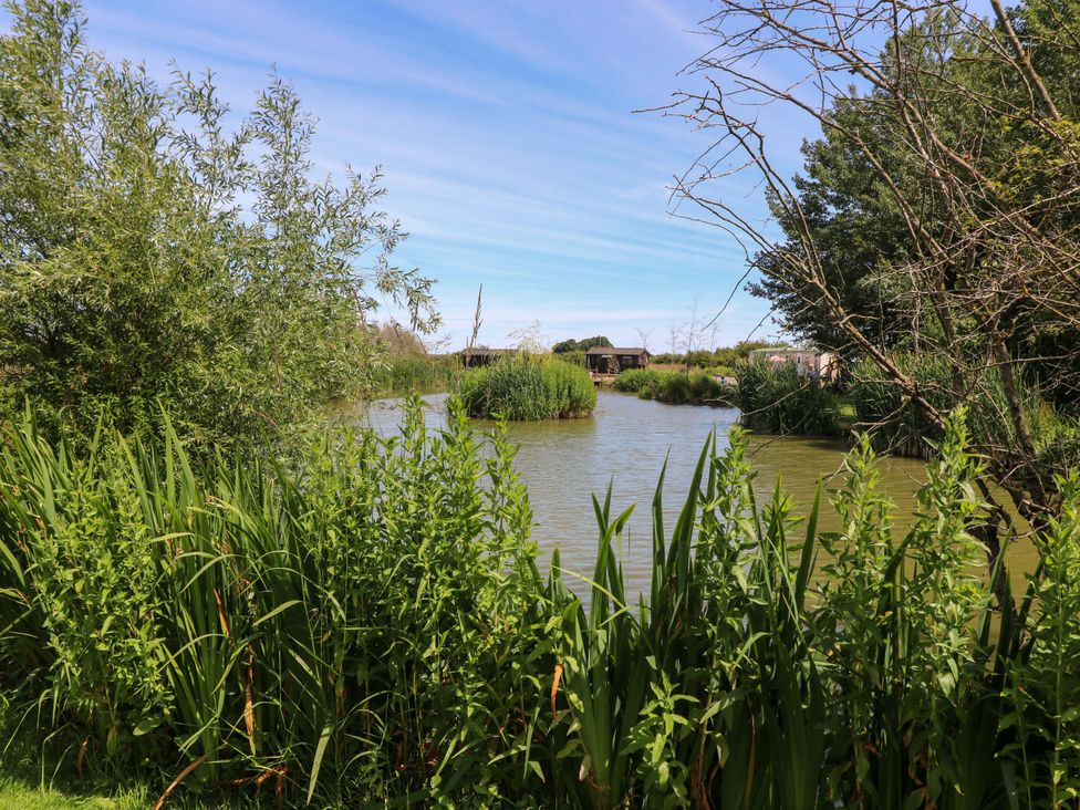 A view of a pond surrounded by greenery at Moorhen Lodge in Market Rasen