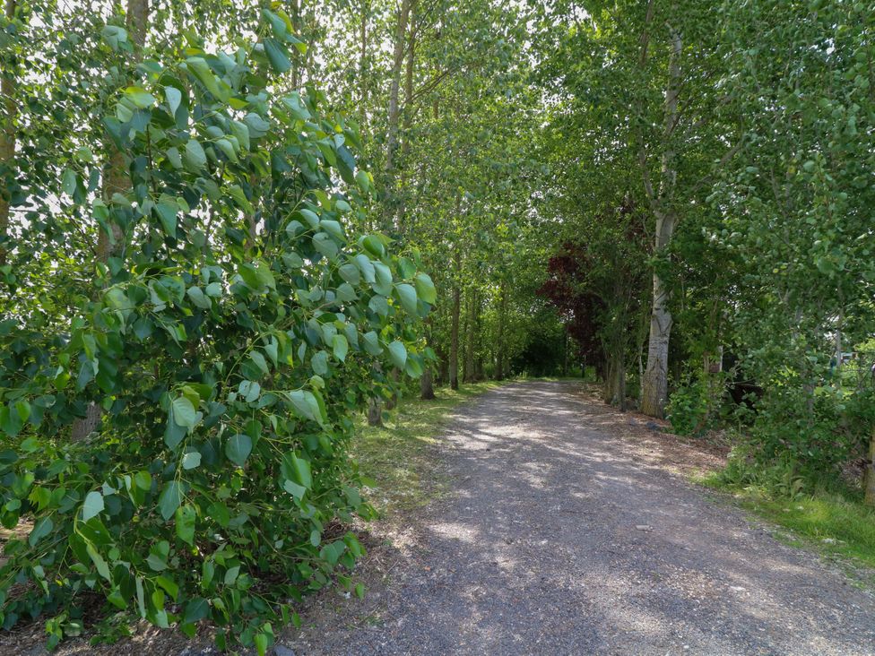 A path bordered by trees at Moorhen Lodge in Market Rasen