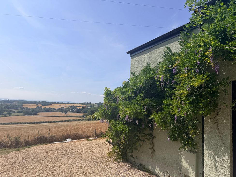 An outdoor view of a field with a house side and plants at Providence Cottage in Trellech