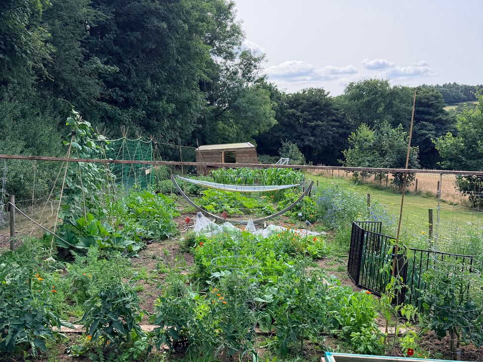 A garden with plants and a shed at Providence Cottage in Trellech