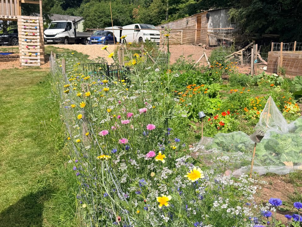 A garden with flowers and vegetables at Providence Cottage in Trellech