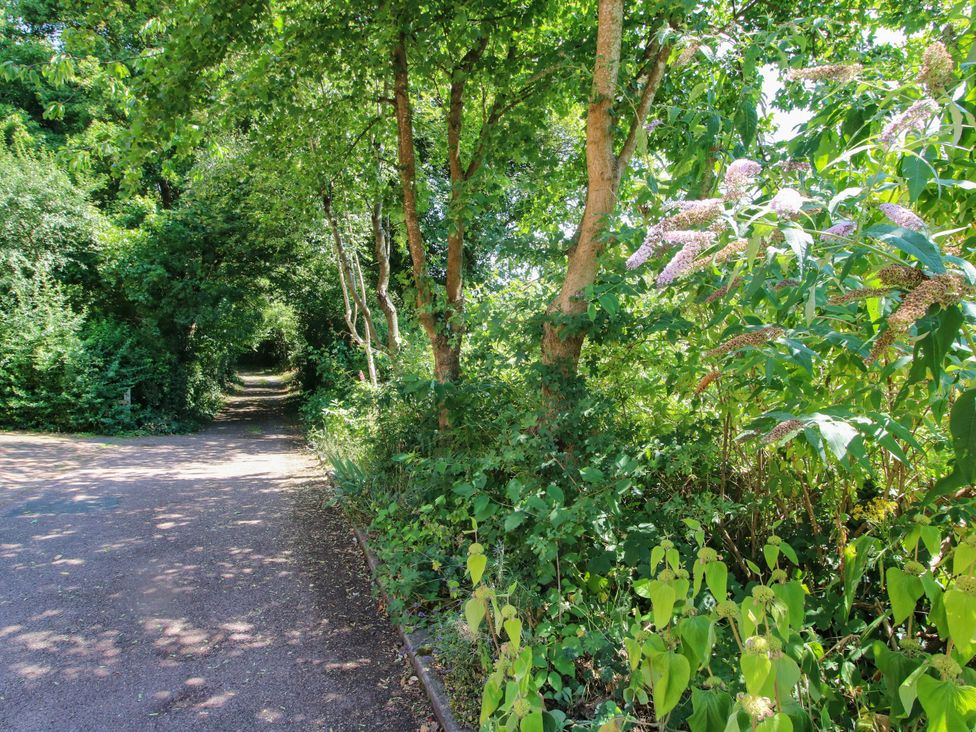 A path surrounded by trees and bushes at Lilac Cottage in Ironbridge