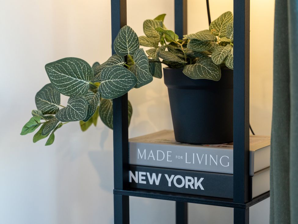 A plant on a bookshelf with books at Edison House Stafford