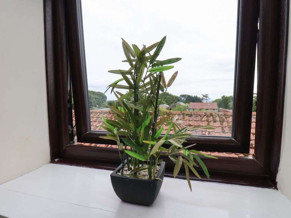 A plant on a windowsill with a view of roofs and trees at Granary in peterculter