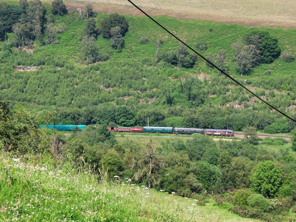 A train moving through green hills and trees at Granary in peterculter