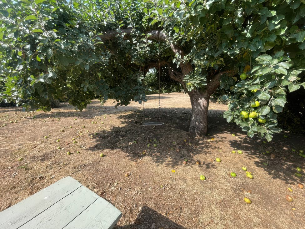 A garden with an apple tree and a swing at Bee Hive Hut in Middleton, Norfolk