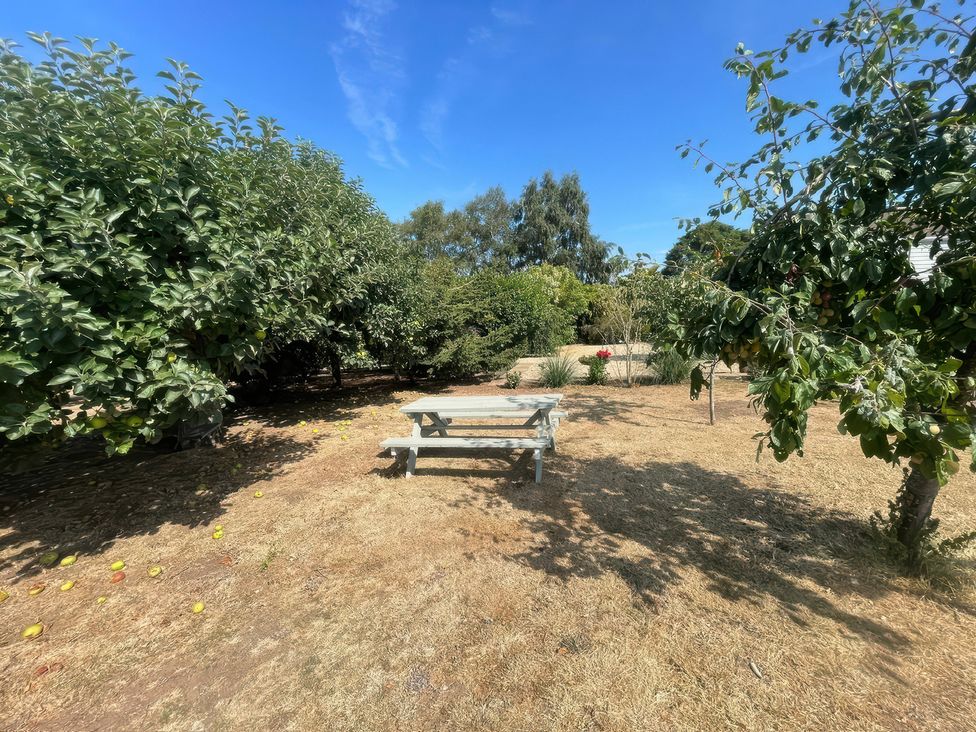 A garden with a table surrounded by trees at Bee Hive Hut in Middleton, Norfolk