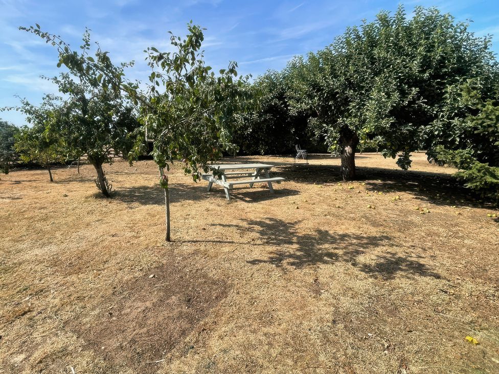 A bench under trees at Bee Hive Hut Middleton, Norfolk