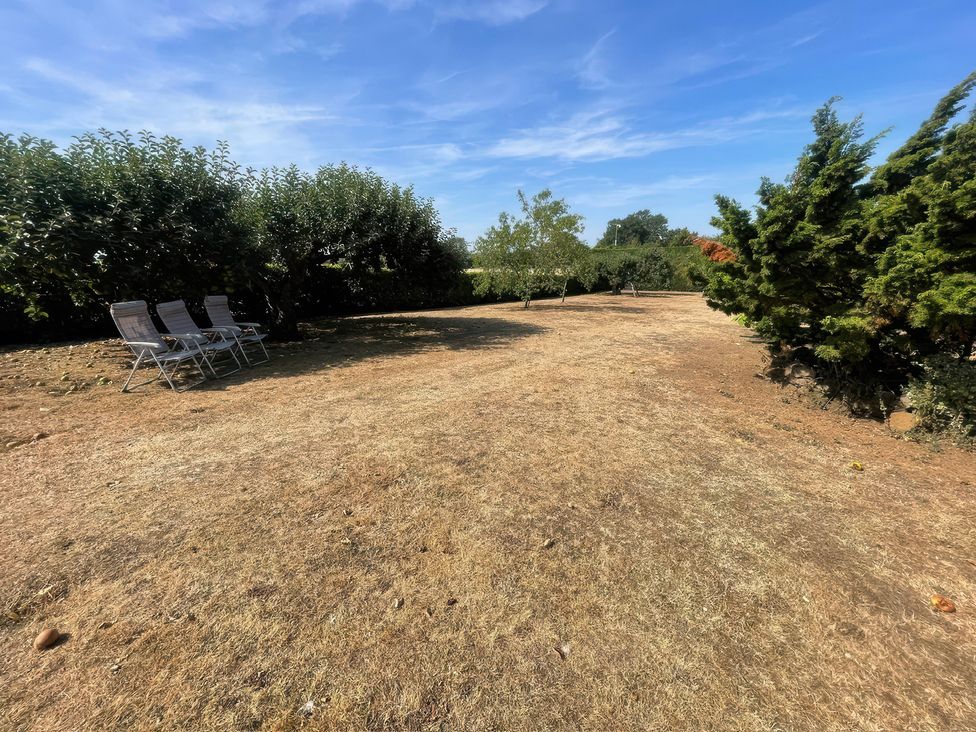 A garden with chairs and trees at Bee Hive Hut in Middleton, Norfolk