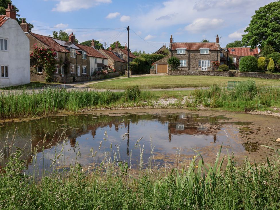 A pond with reflections and houses at Owl in Pickering