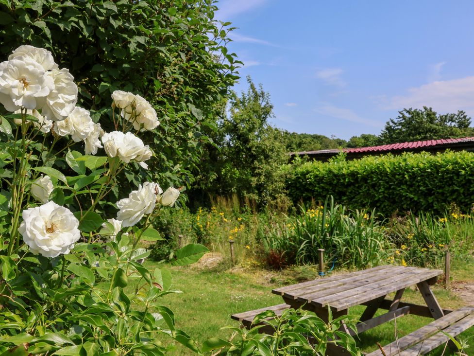 A garden with white roses and a picnic table at Owl in Pickering