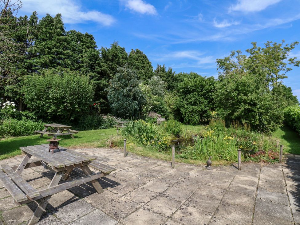 A garden with benches and plants at Owl in Pickering