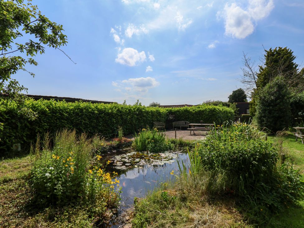 A garden with a pond and benches at Owl in Pickering