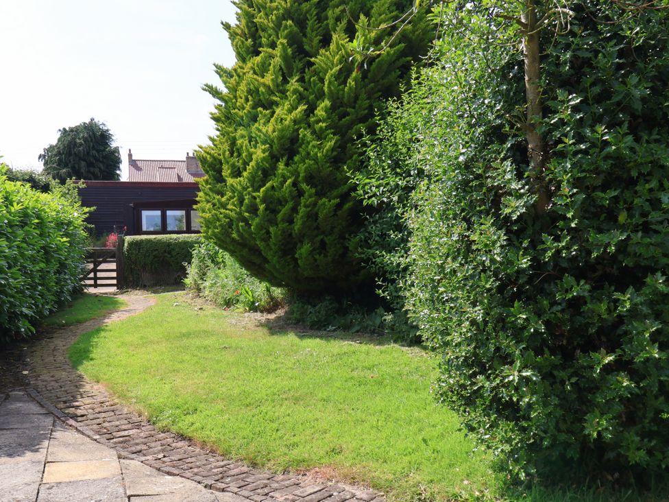 A garden with a pathway and trees at Owl in Pickering