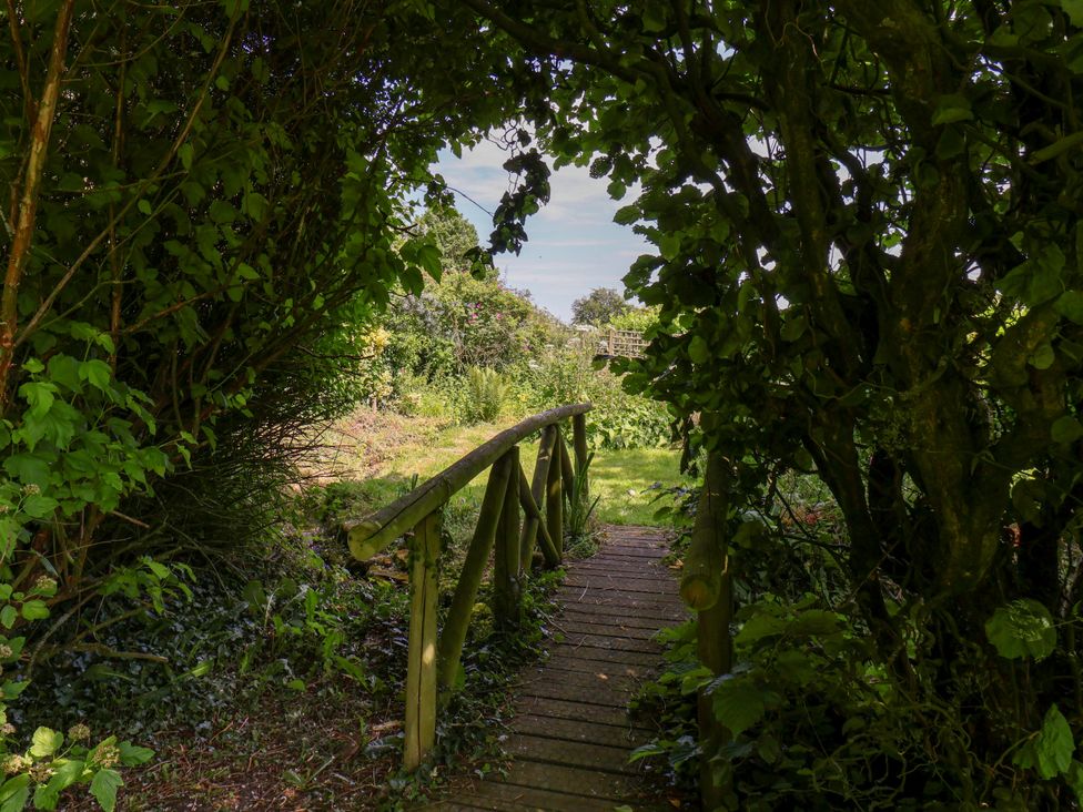 A pathway leading through greenery at Owl in Pickering