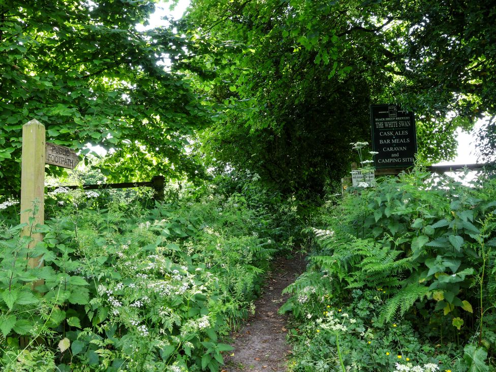 A pathway beside dense vegetation with signposts at Owl in Pickering