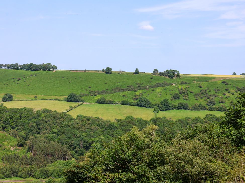 A view of hills and trees in a landscape at Owl in Pickering