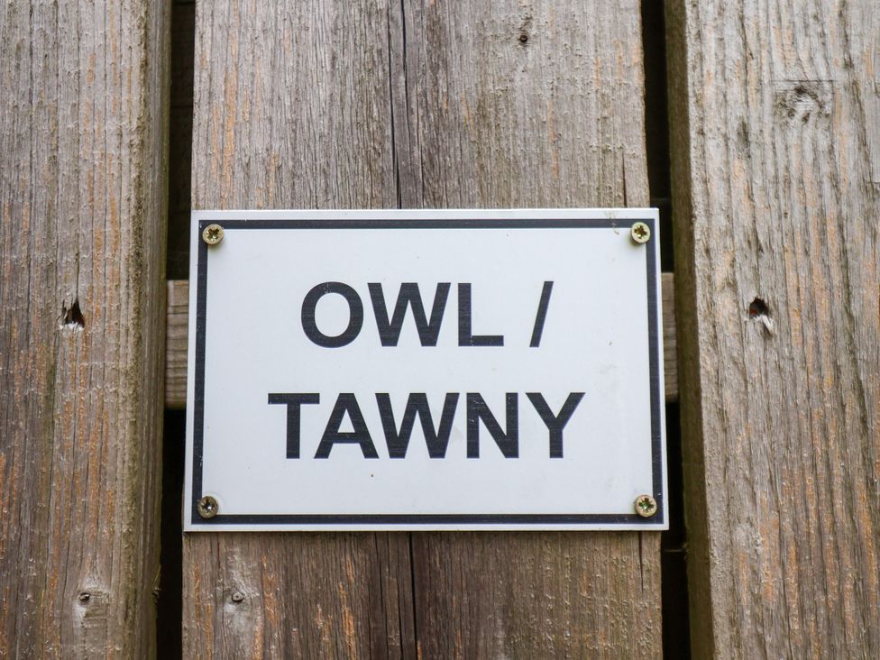 A sign displaying 'OWL / TAWNY' attached to wooden surface at Owl in Pickering
