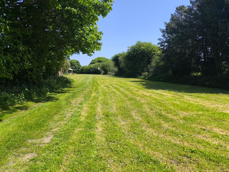 A garden with grass and trees at Owl in Pickering