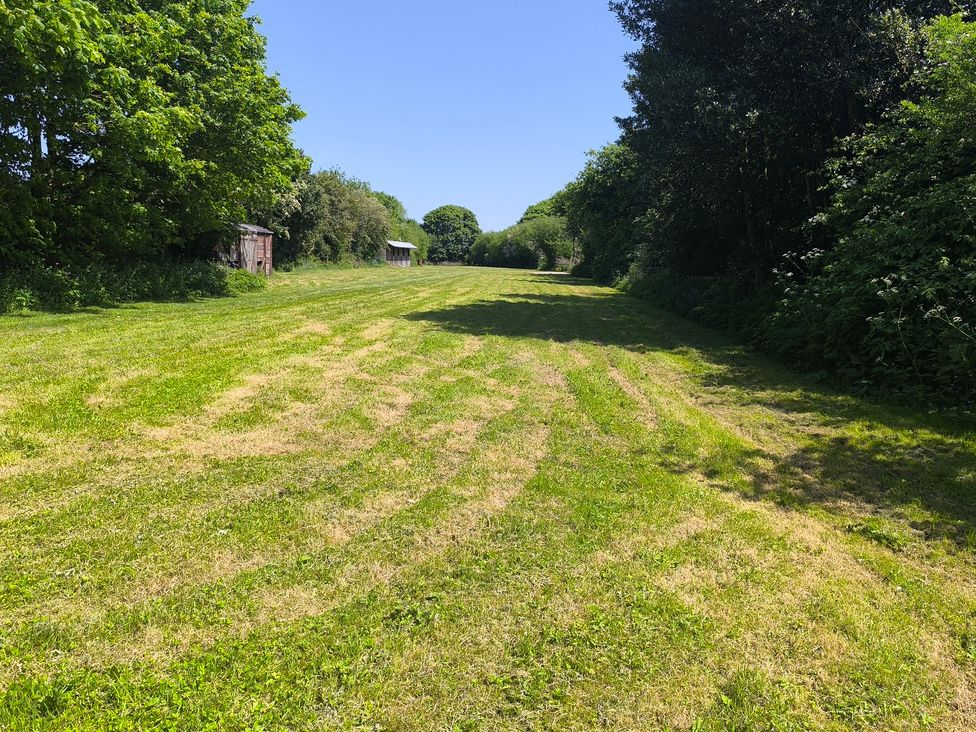 An outdoor grassy area with trees and wooden sheds at Owl in Pickering