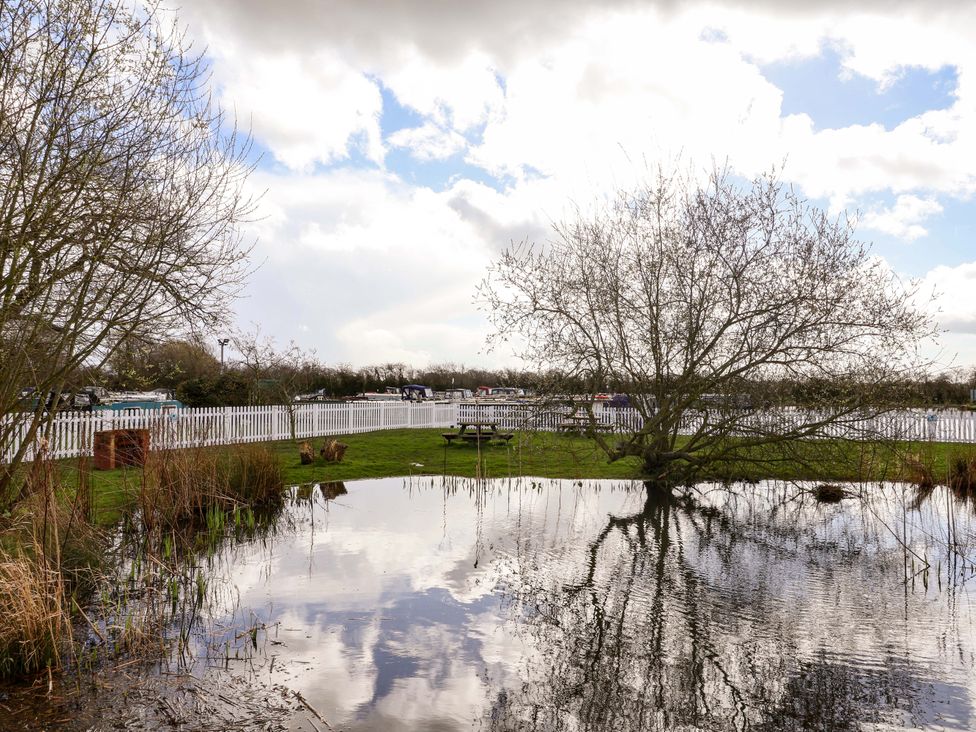 A view of a tree near water with a fence and bench at Bee Happy in Whitchurch