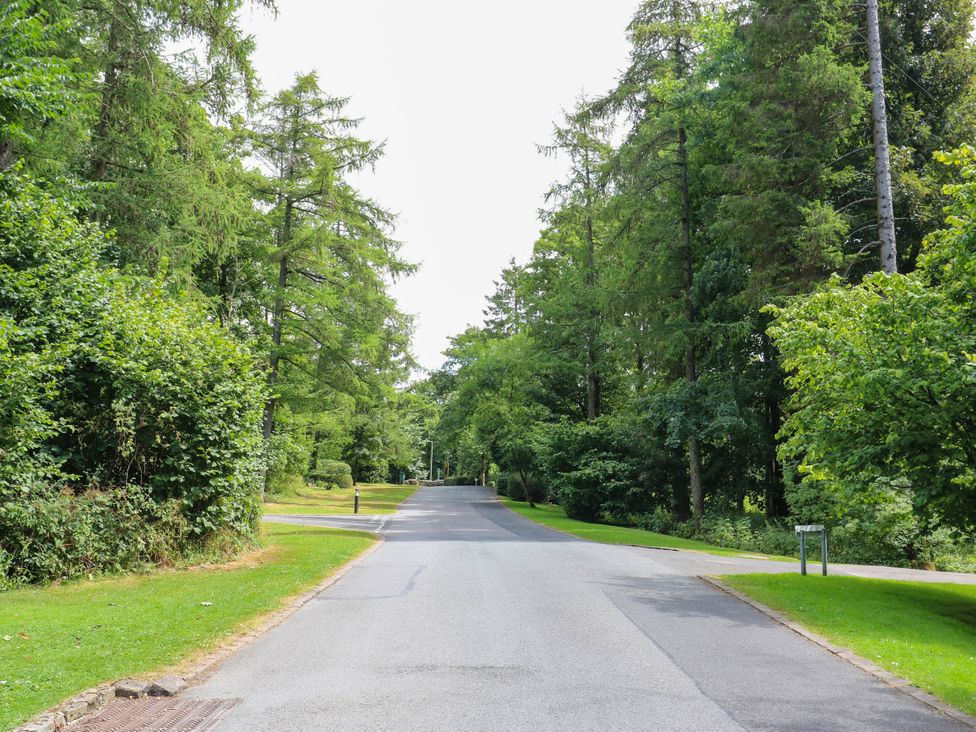 A road lined with trees and bushes at Dales Retreat Threshfield near Grassington
