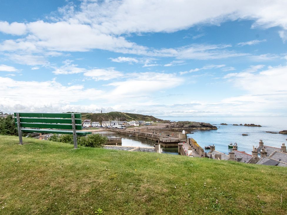 A view of a harbor with a bench and grass at a coastal area