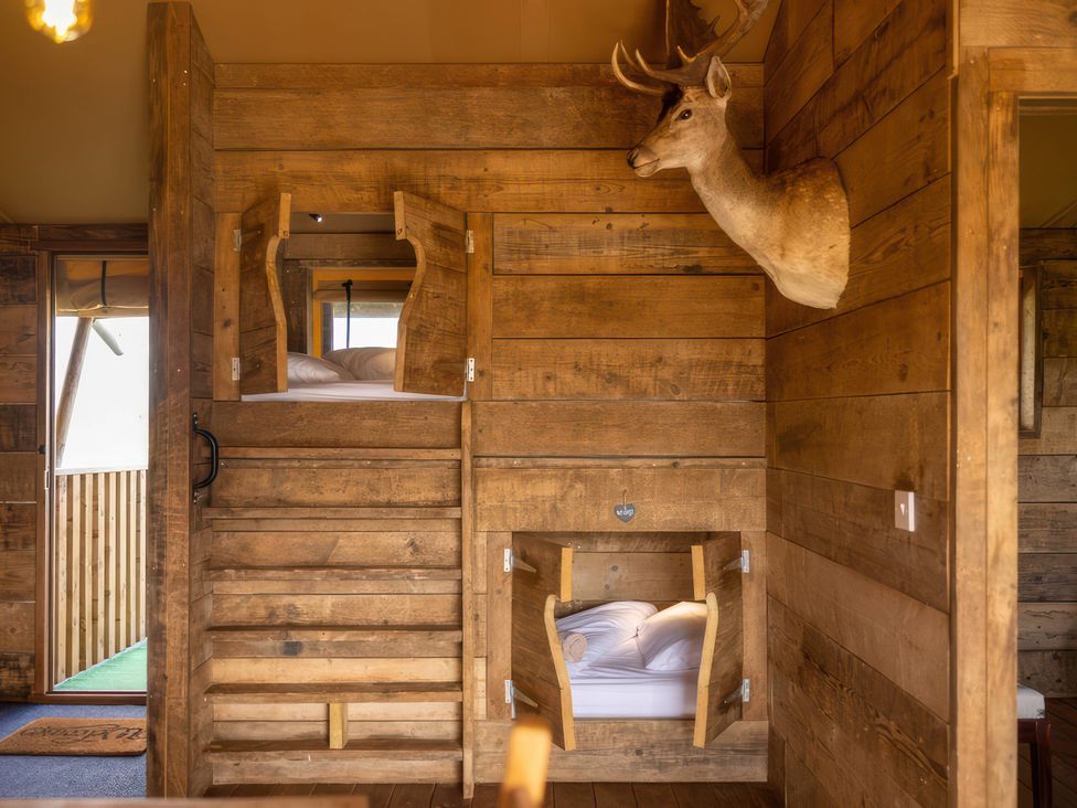 A bedroom with a bunk bed and deer mount at 