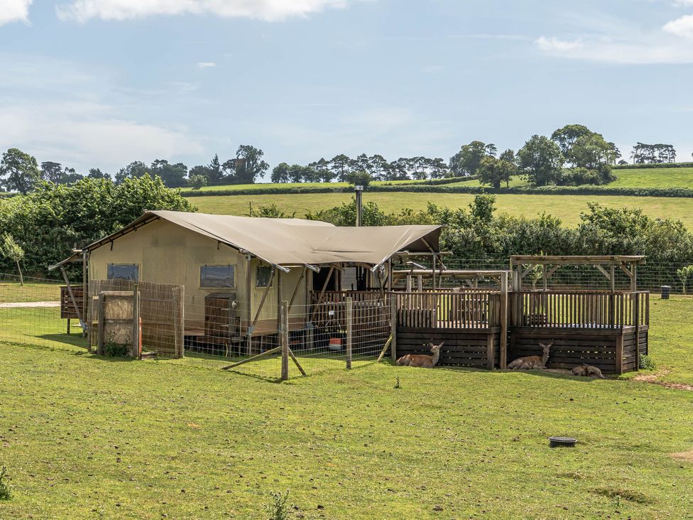 A tent structure with a wooden deck and deer in an outdoor area at Luxury Safari Lodge Sleeps 4/6 Deer Park Dogs Ok Zeal Monachorum near Bow